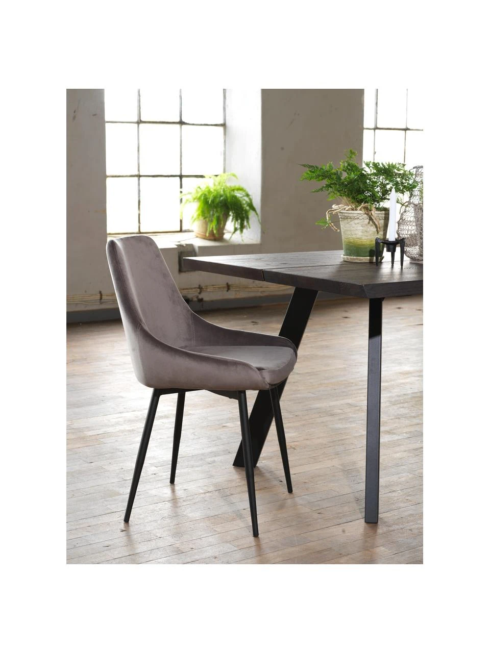 Rowico Samt-Polsterstühle Sierra in Grau, 2 Stück, B 49 x T 55 cm 4 Rowico Samt-Polsterstühle Sierra in Grau, 2 Stück, B 49 x T 55 cm – Bild 2