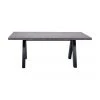 Verlängerbarer Esstisch Apex in Betonoptik, 200 - 250 x 100 cm, B 200 bis 250 x T 100 cm
